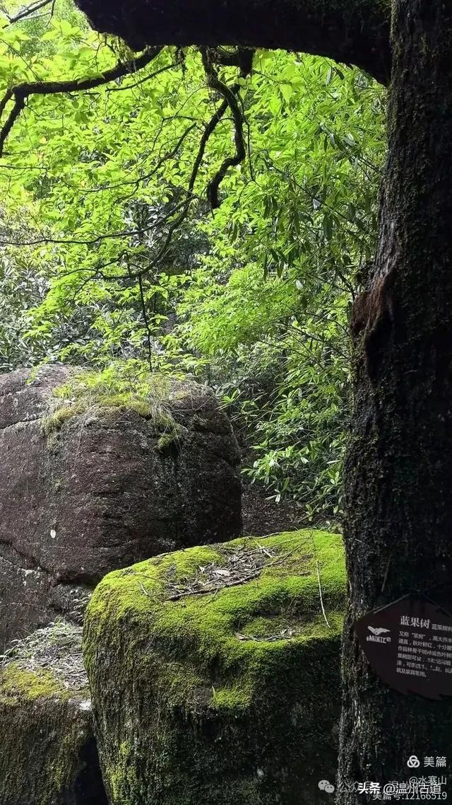 真正的小众避暑胜地!这方秘藏于千米高山之上的清凉秘境等你来!