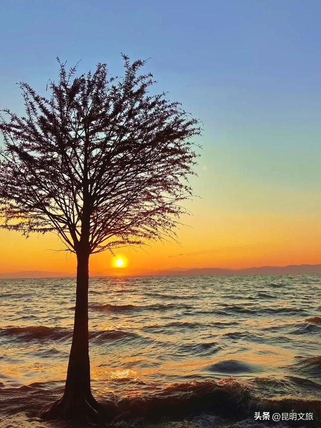 “红”爆!是谁还没有Get昆明的冬天?你知道12月的滇池有多绝?周末冲~