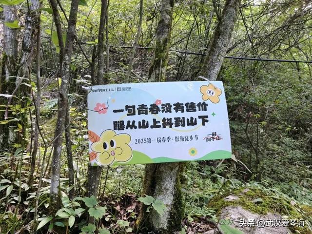 徒步利川朝东岩：华中绝壁的震撼与隐忧，环保徒步爱好者的见闻