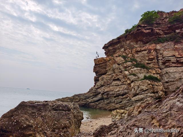 大连海之韵公园·棒槌岛