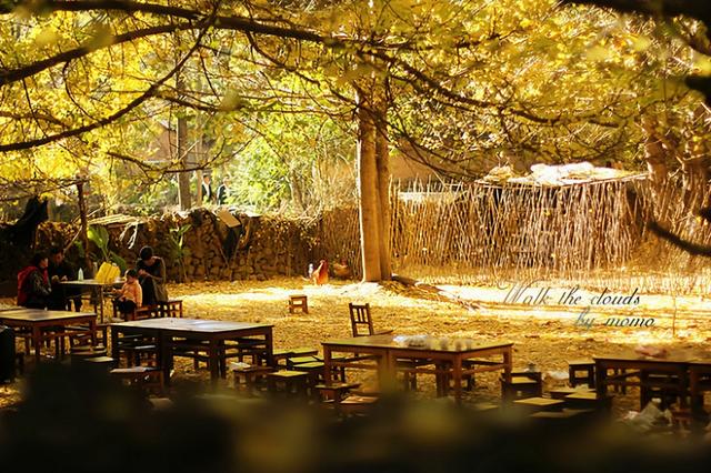 11月旅行目的地推荐 | 这是我想去流浪的地方!