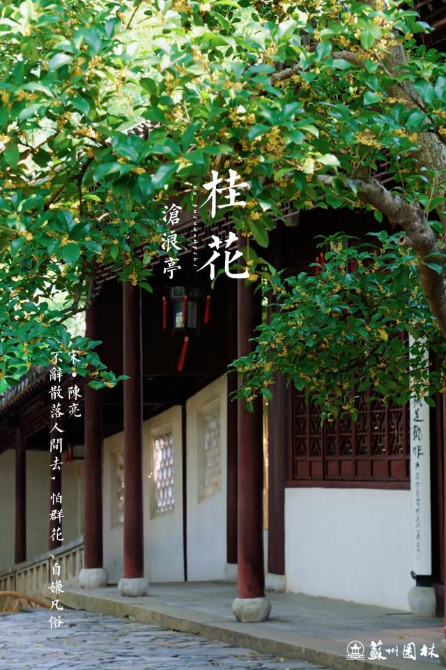 桂香满城！苏州桂花赏花地图来了！