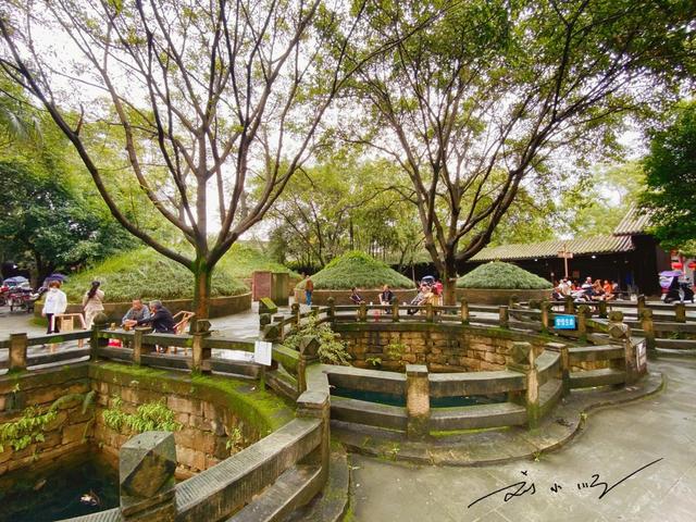 四川德阳“奇观”引关注：当地人坐在墓地里喝茶，游客直呼开眼界