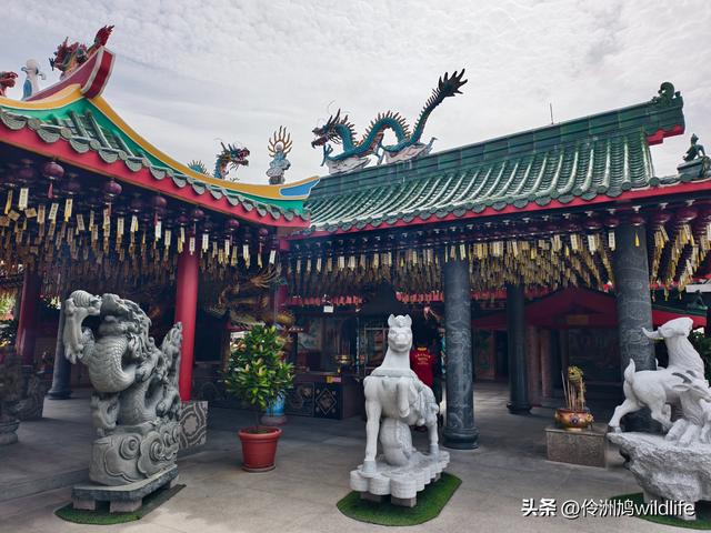 马来西亚(33)砂拉越州⑦美里市加拿大山、海滨公园等