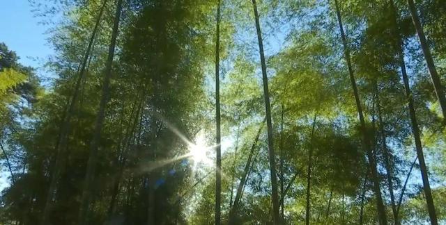跟着赣超游鹰潭丨在鹰潭，找到避暑纳凉的N种方式