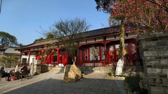 限时“梅”景！郫都这座千年古寺，藏着冬日最治愈的禅意与浪漫