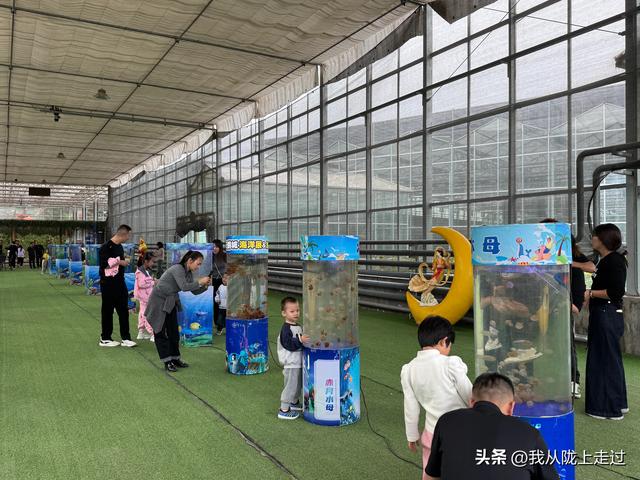紧急提醒！靖远海洋动物嘉年华剩最后2天，这份游玩攻略请收好！