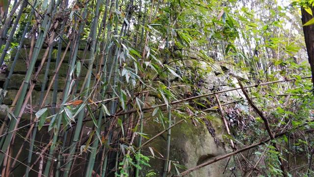重庆九龙坡有一座明朝大寨，拥有18道城门，相传张献忠在此称帝