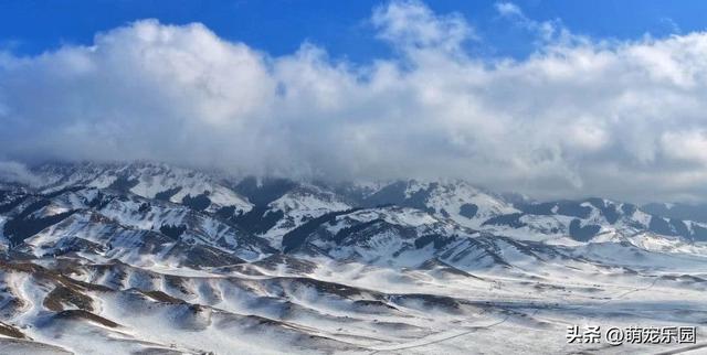 清晨赛里木湖现奇观，山峦云朵翻滚如海，摄影师拍下天地融合瞬间