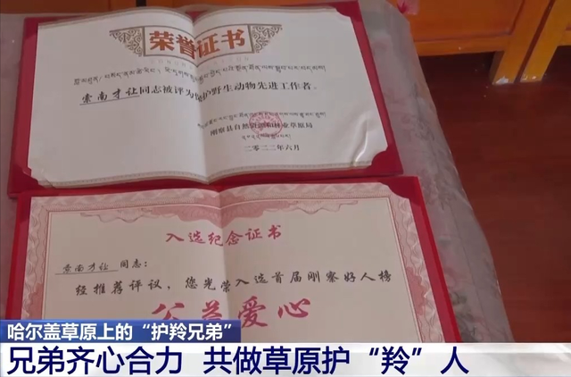 野外仅200多只！青海两兄弟8年捡59只回家，每只都给起名字