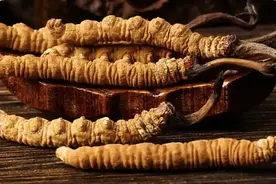 中国八大顶级奢侈食材图片