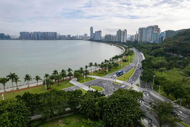 情侣路，凭什么成为大湾区顶流？