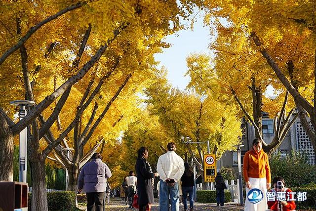 护江河安澜，守人间烟火！江都水利枢纽的冬日诗行