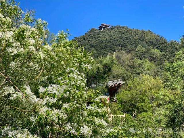 泰山中天门：春末夏初的绮梦之境