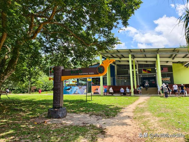 马来西亚(35)砂拉越州⑨峇哥国家公园徒步线路