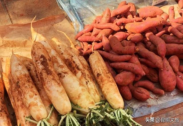 出发！“宝藏猎人”打卡、寻宝、拾鲜行动线路→