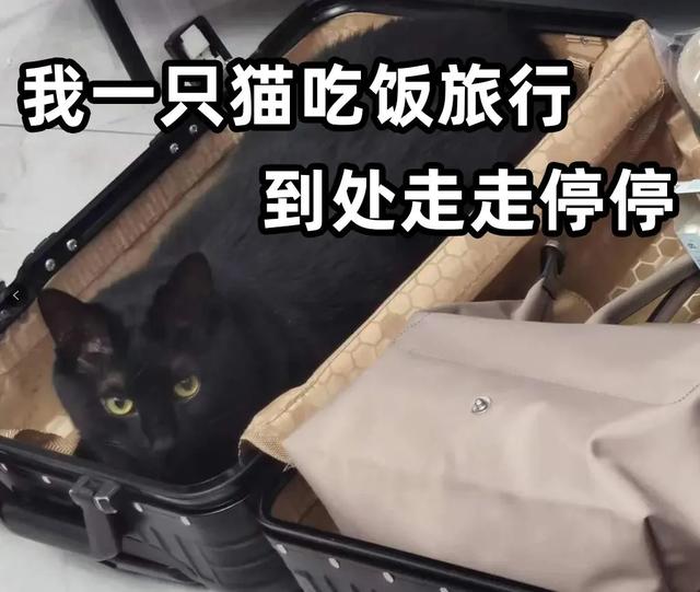 用了整整14年!终于有人找到了《我的世界》的“结局”!