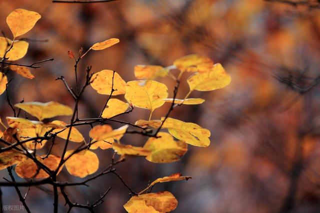 北京人，去了涞水跟易县，实话实说：涞水跟易县差别明显！