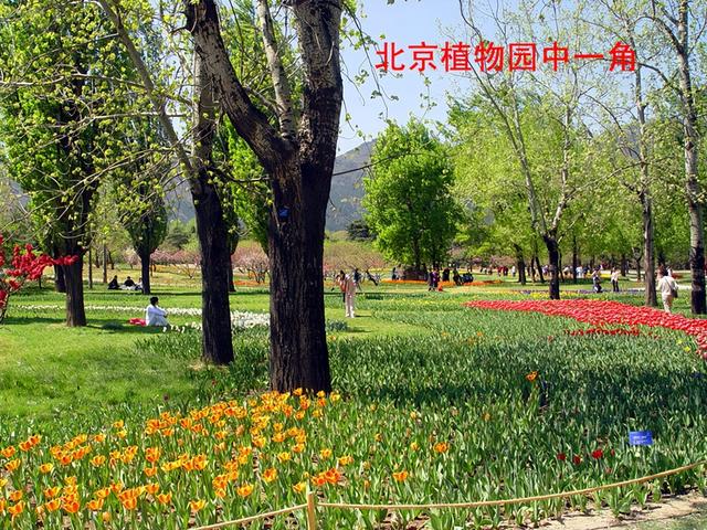 北京旅游：走进西山脚下的植物园（图）