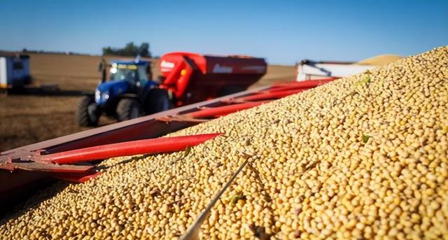 特朗普不装了，对华开条件，若中国同意一个要求，就放中方一马？