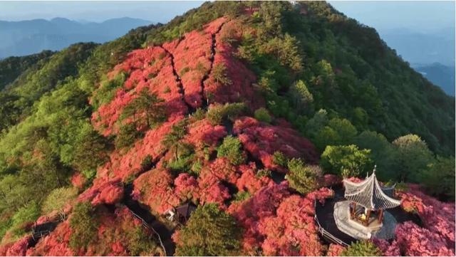沿着高速看湖北｜高速叩开山门 麻城龟峰山从“一季花”到“四季游”