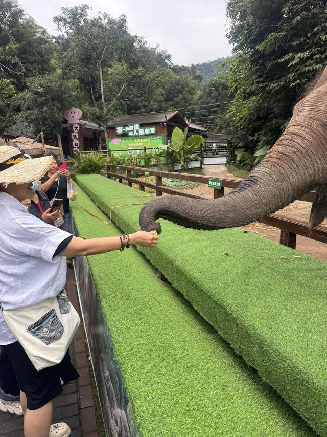 56个民族中的最后一个叫基诺族