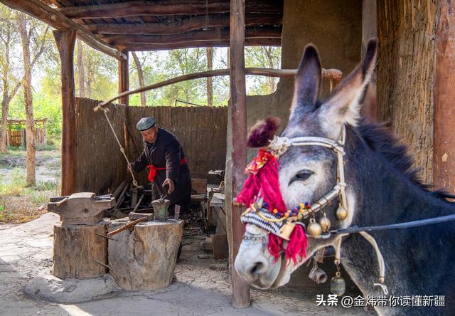 刀郎部落景区入选2025年全国非遗进景区“五好”案例名单实至名归