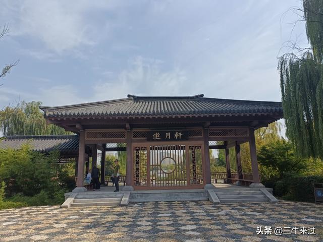 无为在歧路，国庆游淄博1
