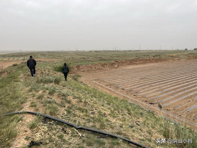 鄂尔多斯市达拉特旗田野考察笔记