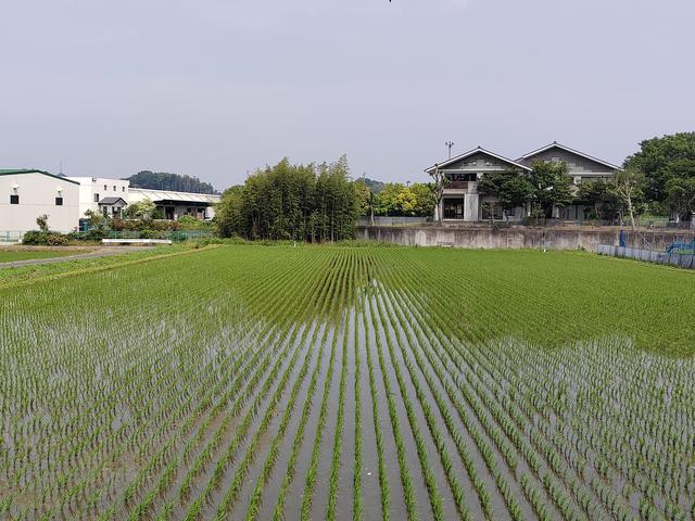 游记：关于日本的喜欢与不喜欢