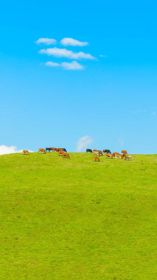 立秋：与腾冲的故事，不止是蝉鸣的夏日