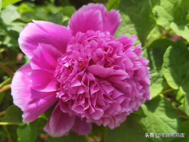 洛阳古墓博物馆