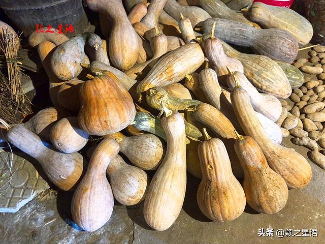原滋原味的古村落，石墙瓦房筲箕斗，只有老人和狗