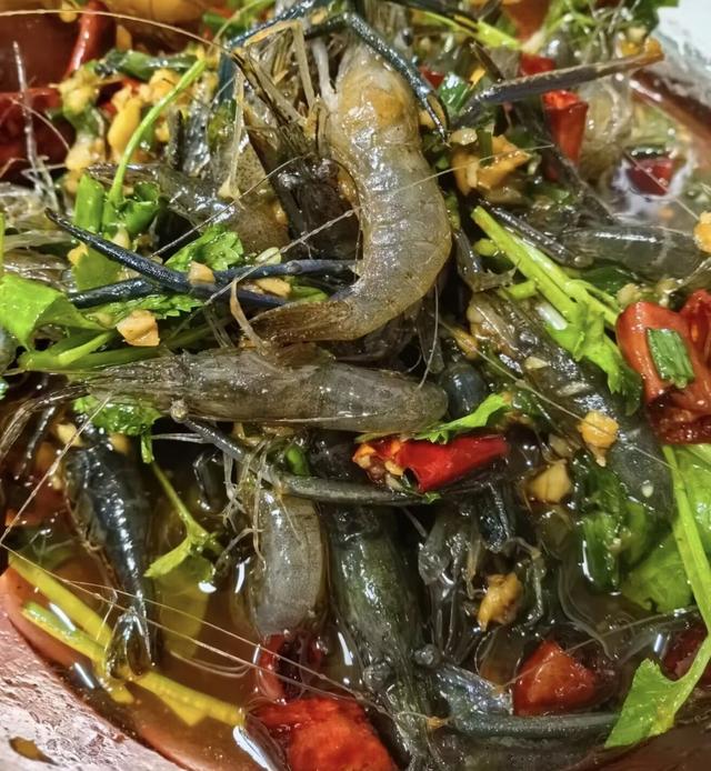 在这座太湖畔的浙北小城，我能不重样的吃上一整天