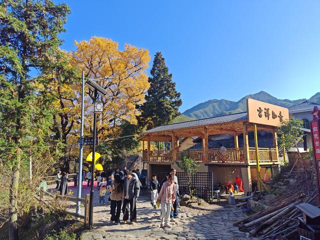 郁郁银杏无非般若，青青溪石尽是法身：宜春南惹古村印象（聂朋