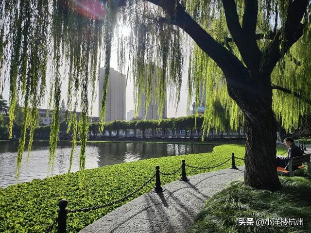 跟随树友们逛中国第一座现代植物园——浙大植物园