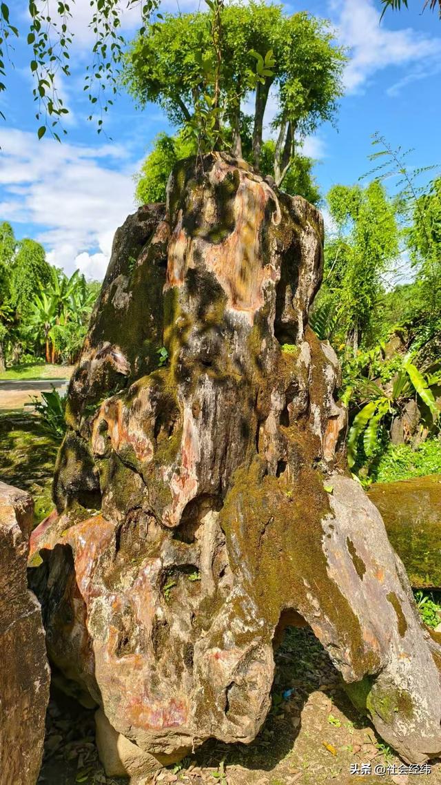 【每日一景】云南德宏勐巴娜西珍奇园