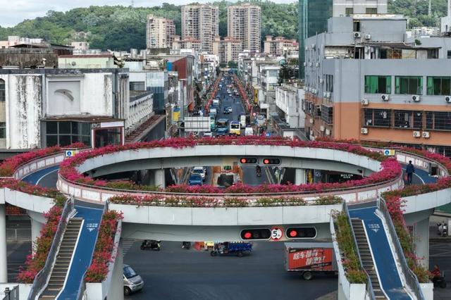 龙岗秋冬浪漫打卡指南来了！瀑布花海、空中花路…这份粉色攻略快收好！