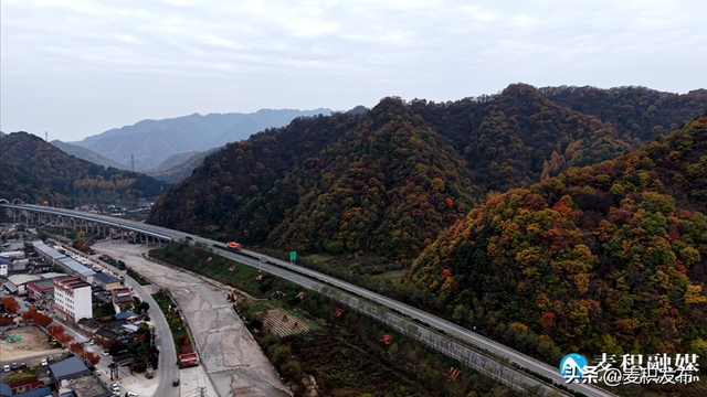 【东方微笑 多彩麦积】党川之秋：在麦积山林间，邂逅一场色彩与公路的交响