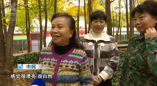 谁懂啊！昆明把冬天过成童话：观鸥、赏银杏、逛市集还能炫咖啡！