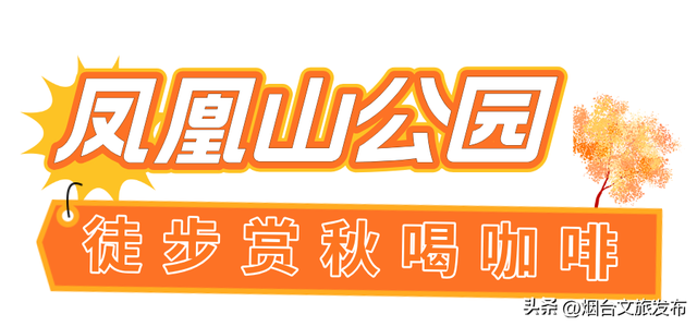 【乐游烟台】周末好去处丨被烟台家门口的赏秋徒步地，美哭了！