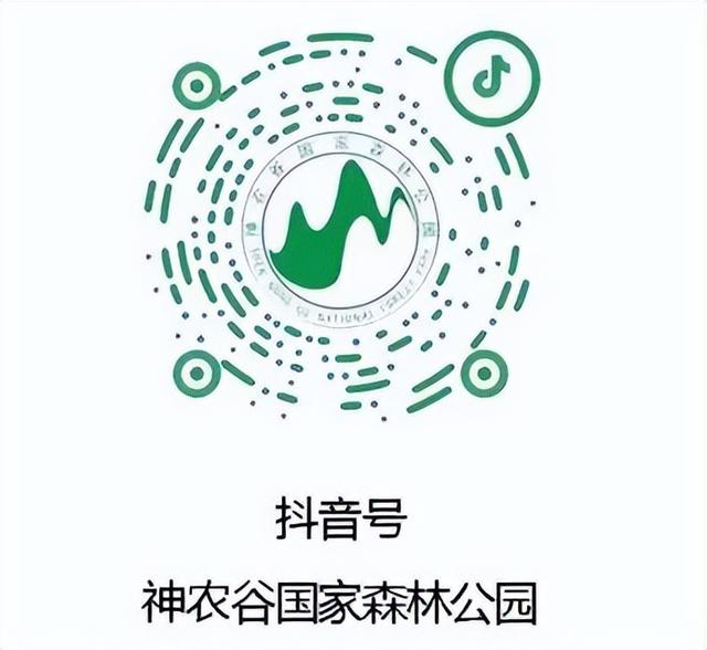 水上麻将、露天电影、狂欢音乐节……主理人都爱来！