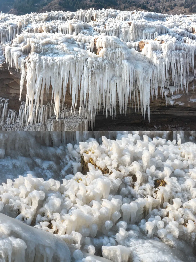 2026马年限时免费丨零门票丨西安及周边景区免票活动来啦~