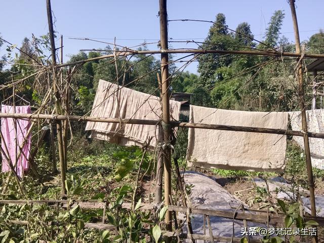 我妈安排的事是我支持的我就会满心欢喜地去做，不支持的就很反感