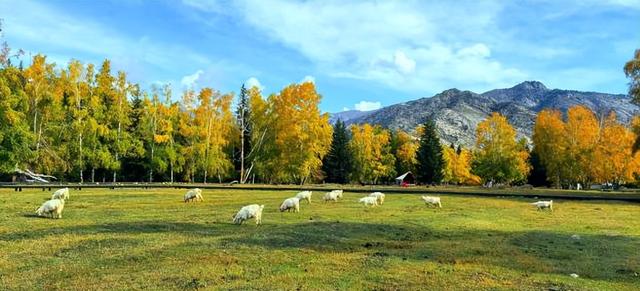 程传军 | 行走北疆