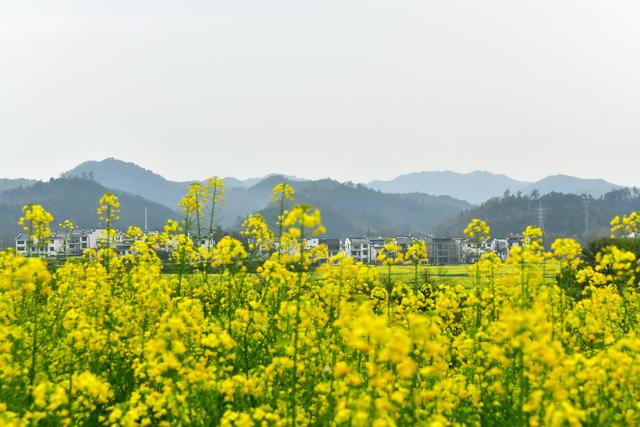 婺源月亮湾