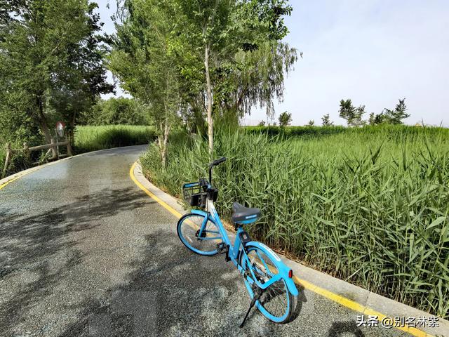 甘肃河西走廊自由行（8），分享嘉峪关交通和住宿，夜市吃了烧烤