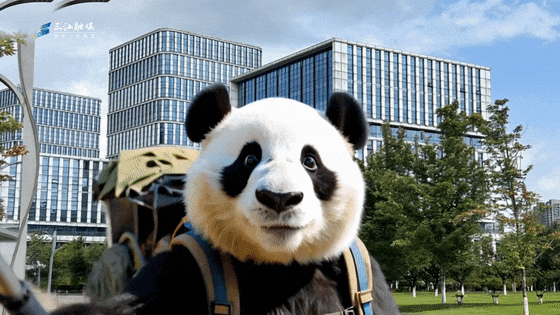 燃！滚滚儿做导游