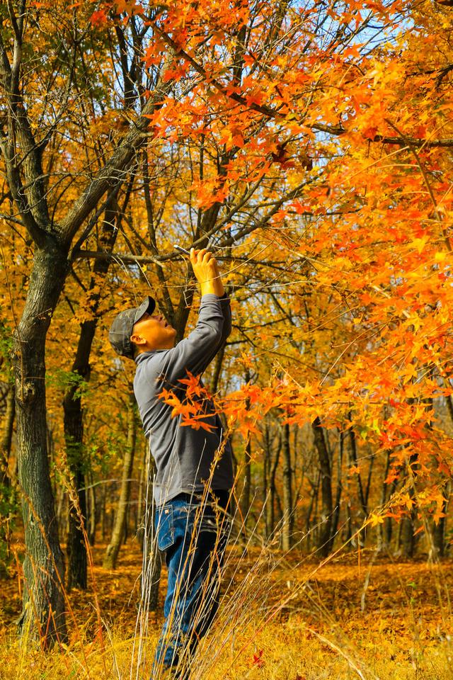 泗水县万紫千红旅游区：静谧而斑斓的生态画卷
