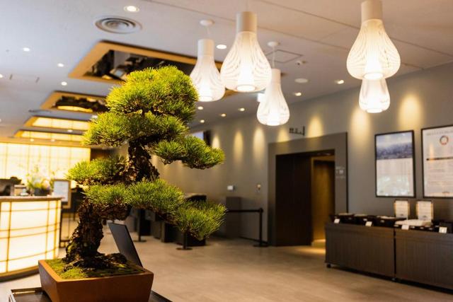 看过京都的红叶狩，错过东京的樱花季，夏天来镰仓、箱根避暑啦